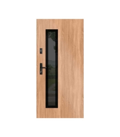 Drzwi Wikęd GLASS DESIGN wzór GD01b